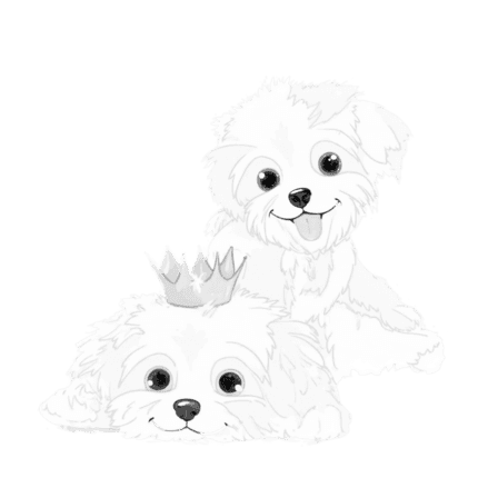 Jeff Maxwell's two dogs - code companions and loyal debugging partners